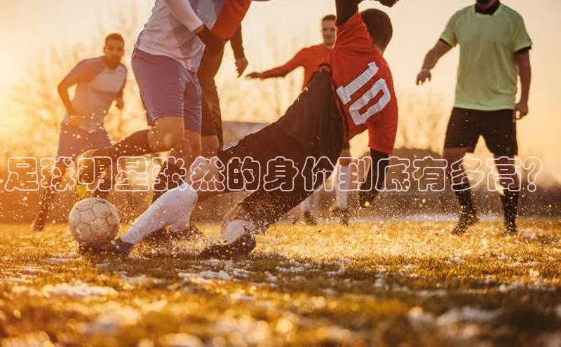 极悦注册天下秀足球明星张然的身价到底有多高？