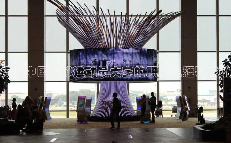 极悦平台代理小度商城揭秘中国足球运动员大宝的职业生涯和成就