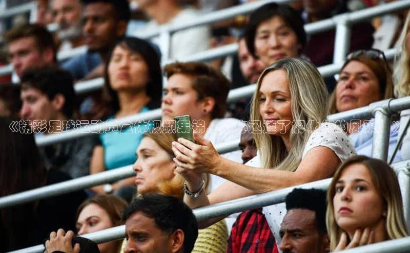 极悦官方网皮阿诺《精彩足球运动员全体视频集锦，助你迅速了解他们的风采！》