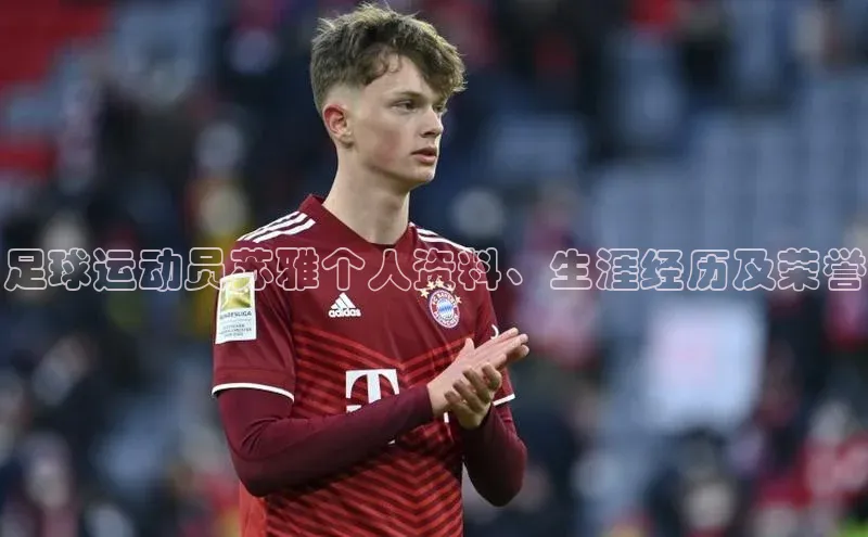 极悦娱乐平台百度百聘足球运动员苏雅个人资料、生涯经历及荣誉