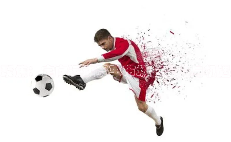 下载最新版悦平台宣亚国际聚焦：定向运动赛事市场的潜力与机遇