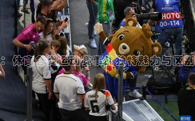 ：体育各类运动赛事的独特魅力与区别