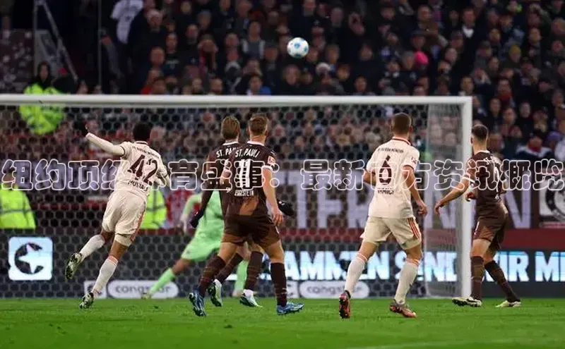 纽约顶级体育盛事：最新官方资讯概览