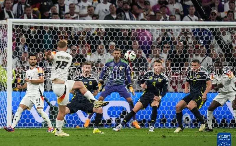 欢乐猪舞：观看我们的趣味运动会视频