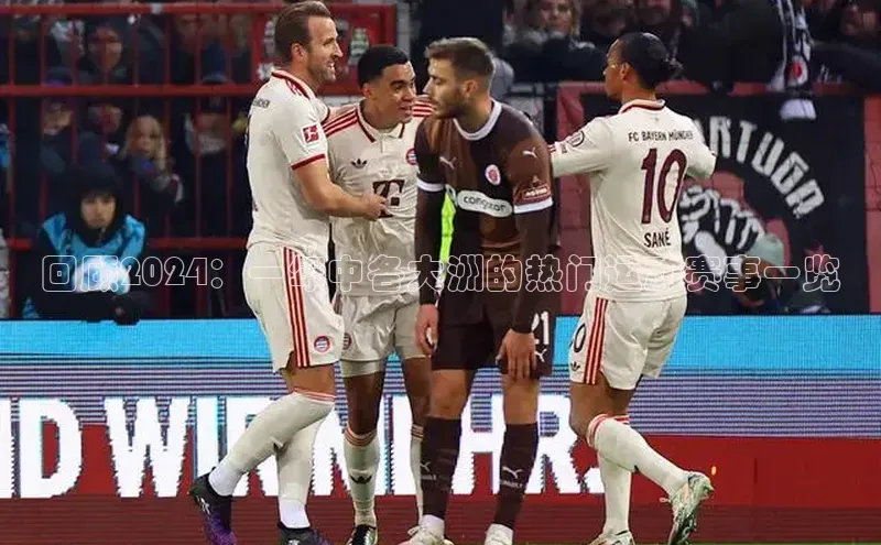 回顾2024：一年中各大洲的热门运动赛事一览