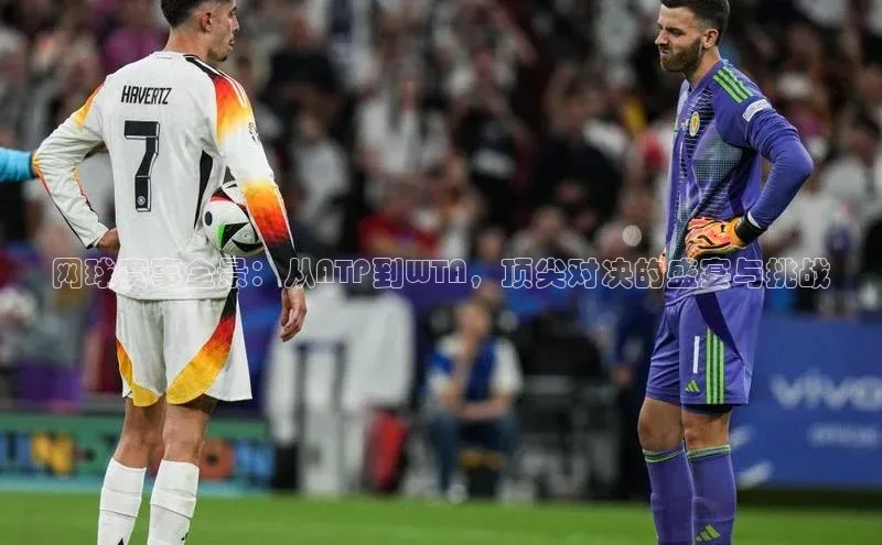 网球赛事全景：从ATP到WTA，顶尖对决的盛宴与挑战