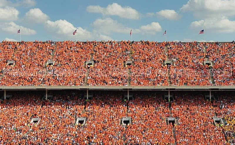 医疗团队在运动赛事中的关键角色与重要性：提升健康与安全的策略