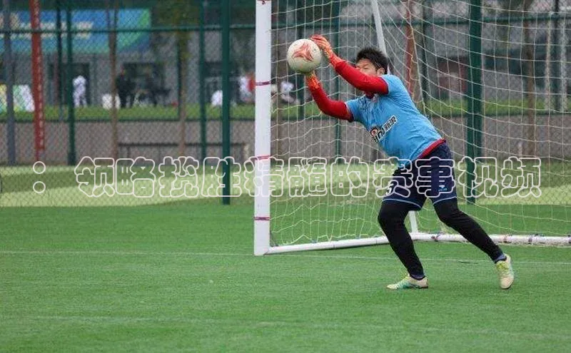 ：领略揽胜精髓的赛事视频