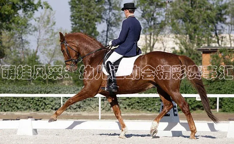 萌娃风采：幼儿运动会精彩赛事汇