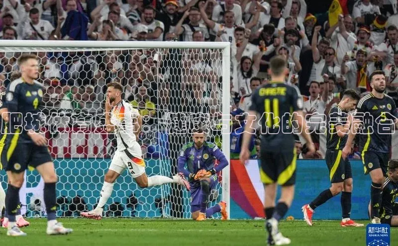 肥城体育盛事：健康与文化的完美融合