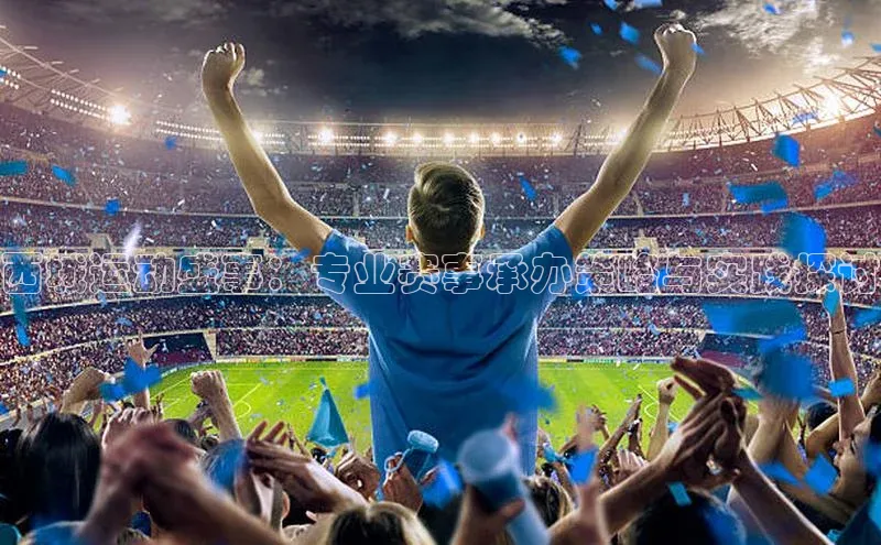 西城运动盛事：专业赛事承办策略与实践探讨