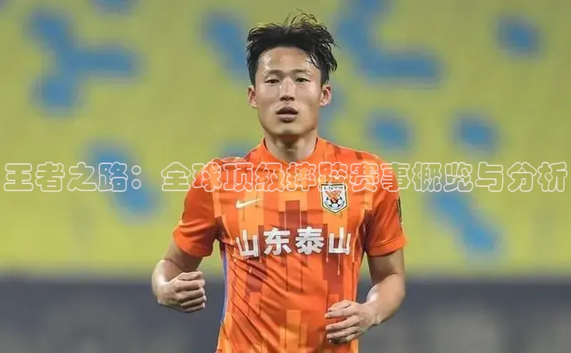 王者之路：全球顶级摔跤赛事概览与分析