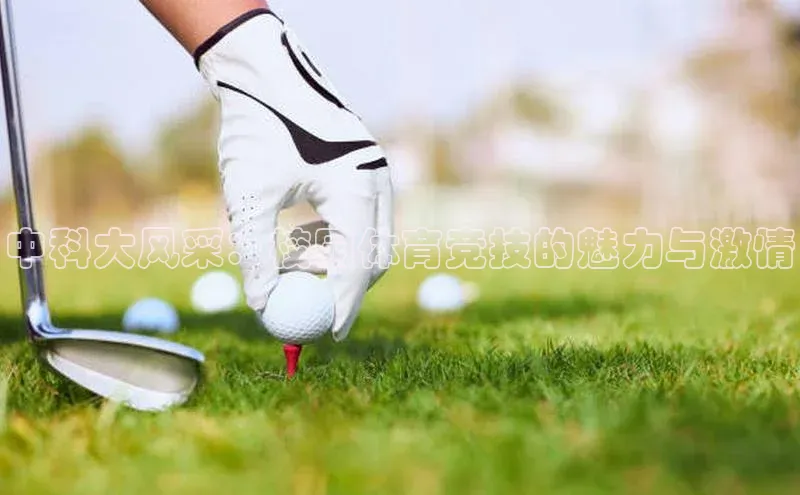 中科大风采：校园体育竞技的魅力与激情