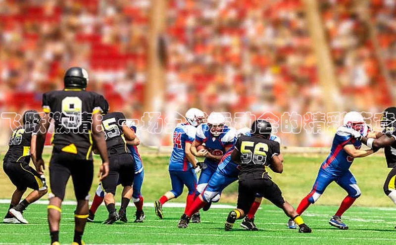 飞跃激情：一场全球运动会的精彩篇章